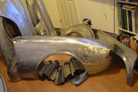 tom full resized.jpg